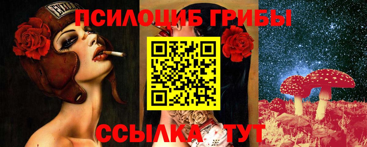 Галлюциногенные грибы Cubensis  Галлюциногенные грибы GOLDEN TEACHER  Жигулёвск  Вход с VPN 